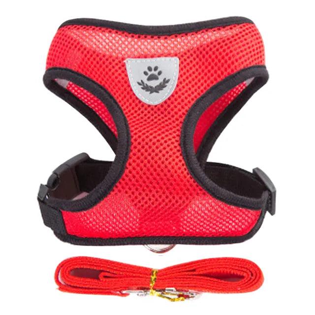 Pet Harness Vest with Lead - Bargain Tool