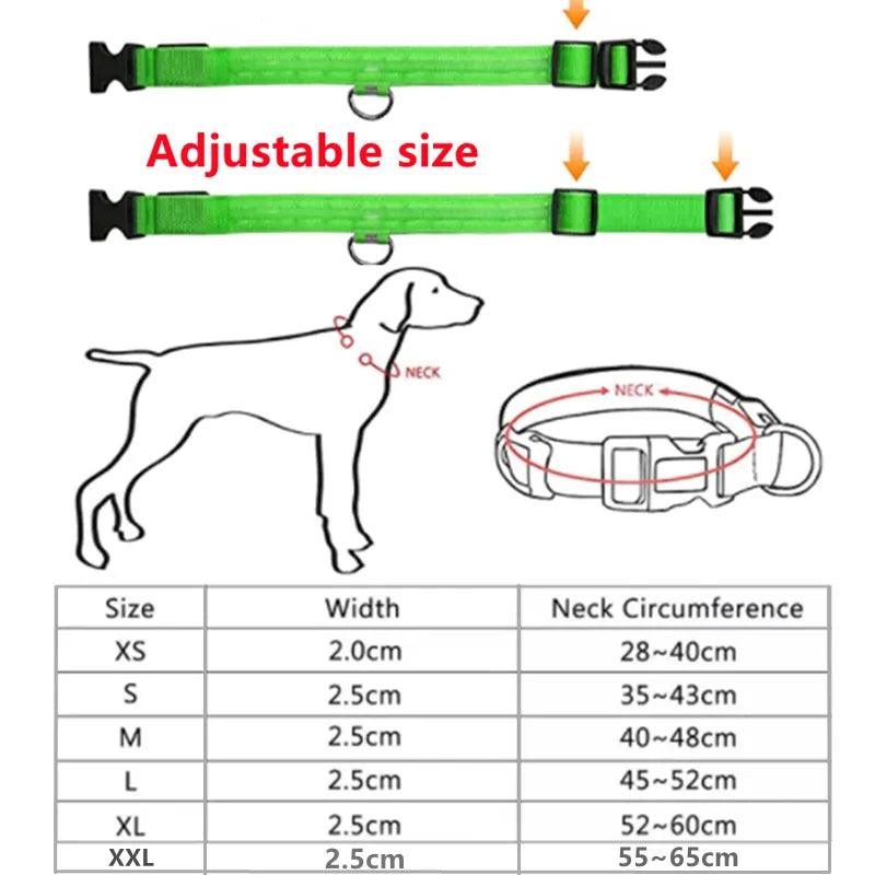 LED Light Dog Collar - Bargain Tool