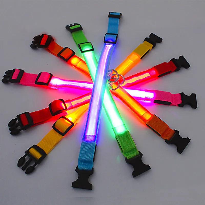 LED Light Dog Collar - Bargain Tool
