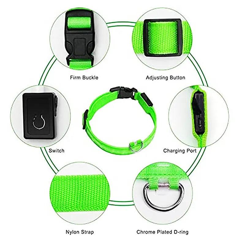 LED Light Dog Collar - Bargain Tool