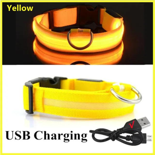 LED Light Dog Collar - Bargain Tool