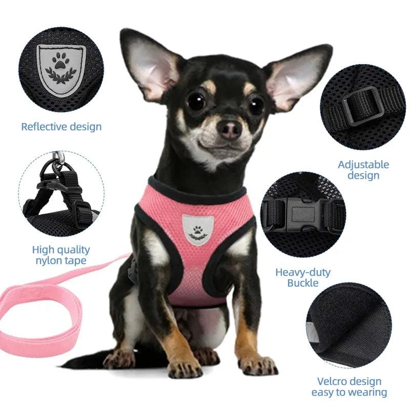 Pet Harness Vest with Lead - Bargain Tool