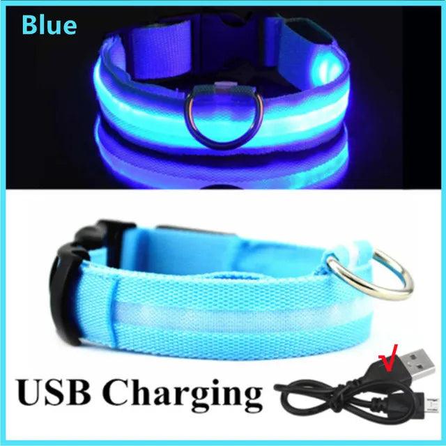 LED Light Dog Collar - Bargain Tool
