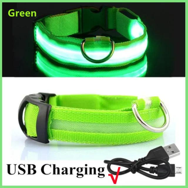 LED Light Dog Collar - Bargain Tool