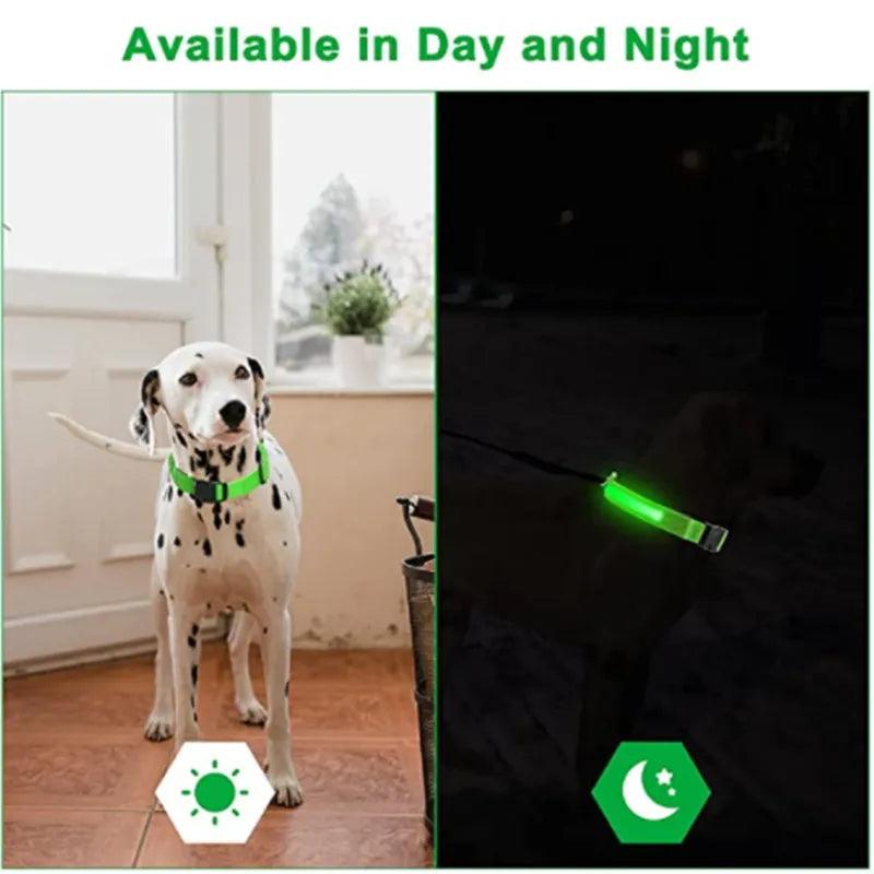 LED Light Dog Collar - Bargain Tool