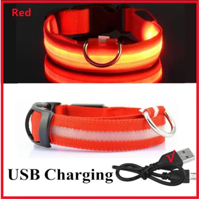 LED Light Dog Collar - Bargain Tool