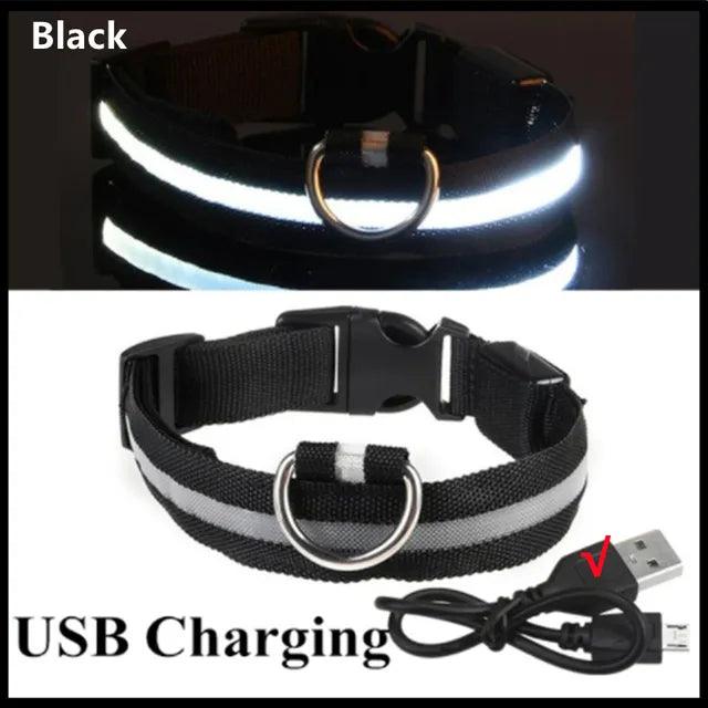 LED Light Dog Collar - Bargain Tool