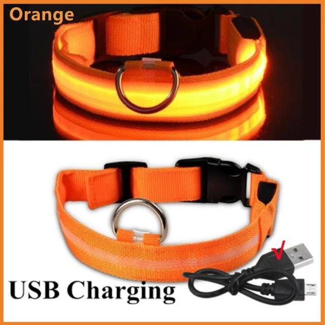 LED Light Dog Collar - Bargain Tool