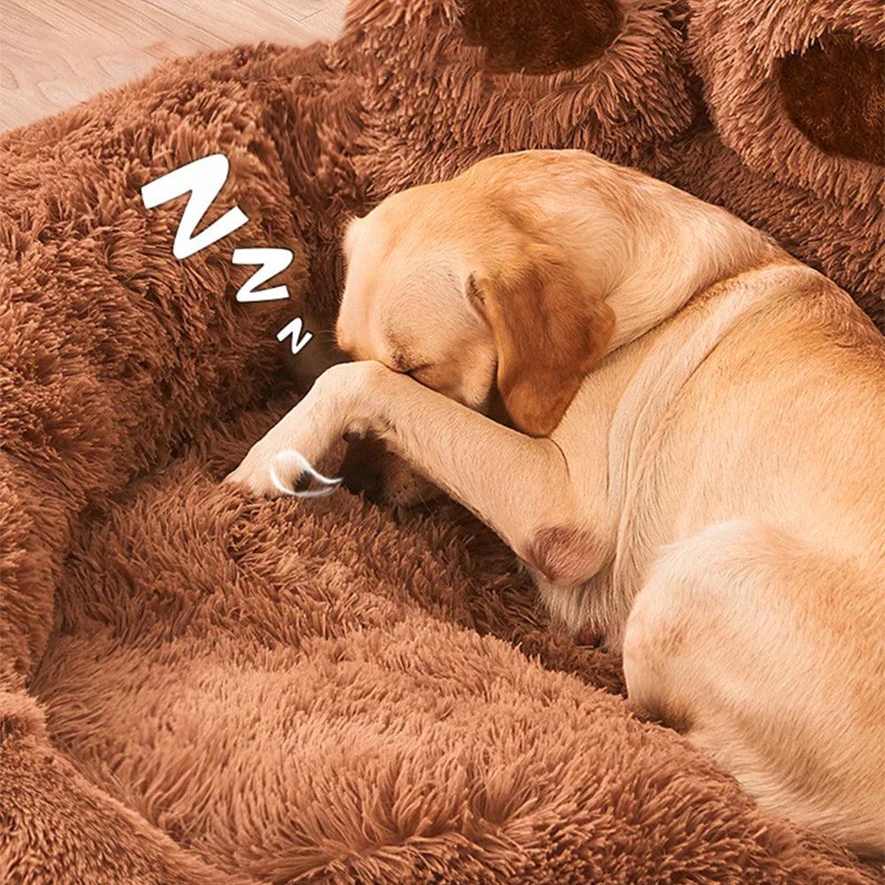 Pet Bed - Bargain Tool