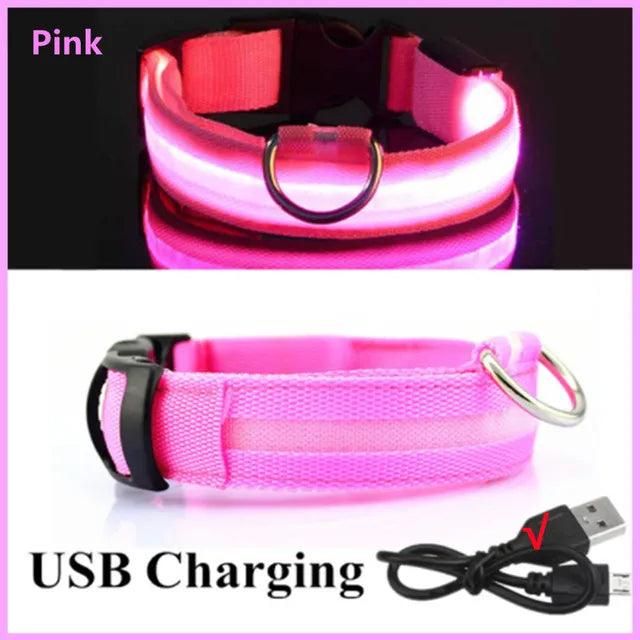 LED Light Dog Collar - Bargain Tool