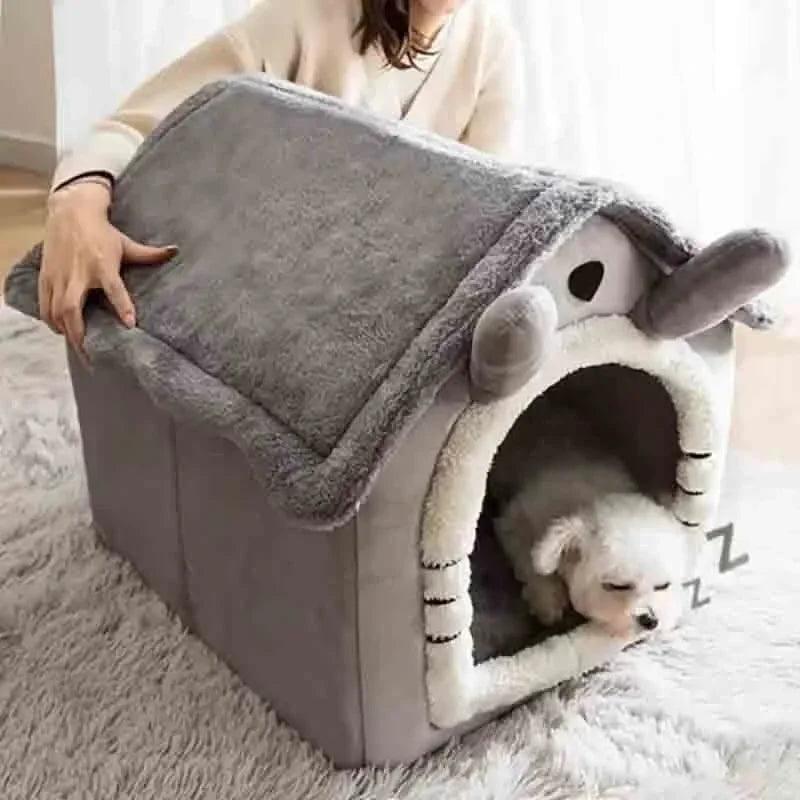 Pet Accessories - Bargain Tool
