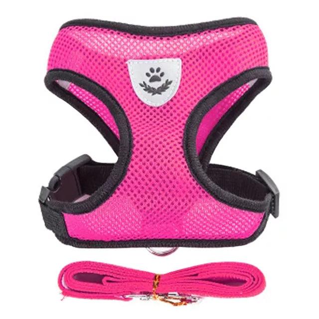 Pet Harness Vest with Lead - Bargain Tool