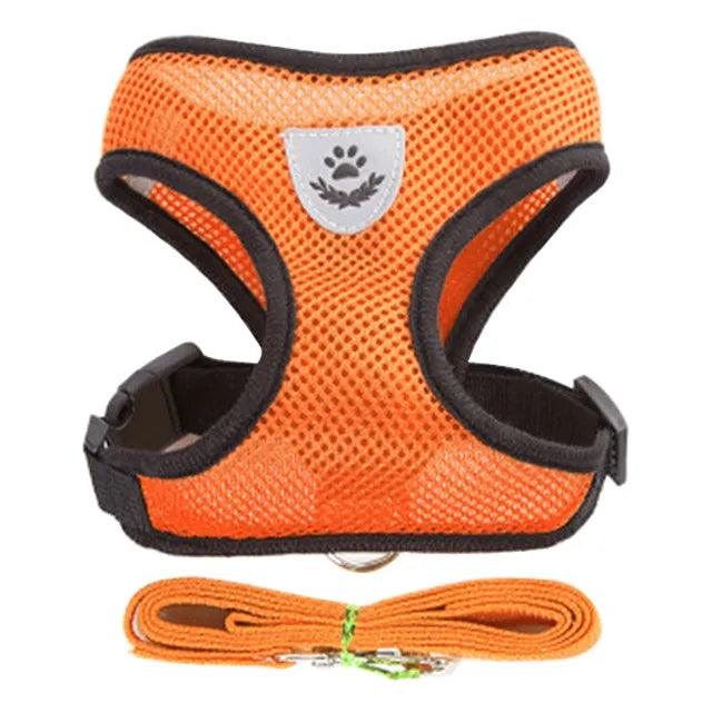 Pet Harness Vest with Lead - Bargain Tool