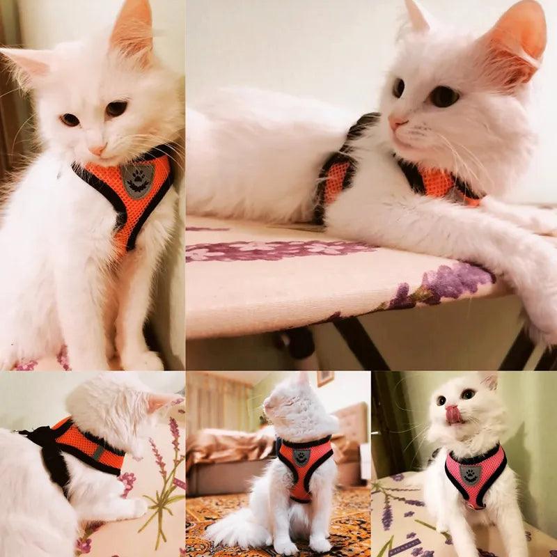 Pet Harness Vest with Lead - Bargain Tool