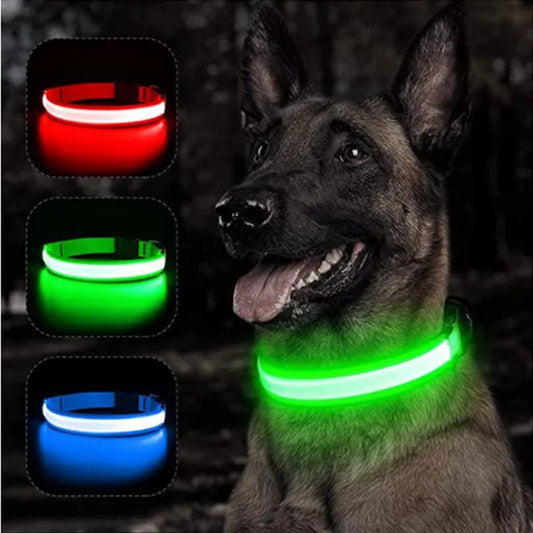 LED Light Dog Collar - Bargain Tool