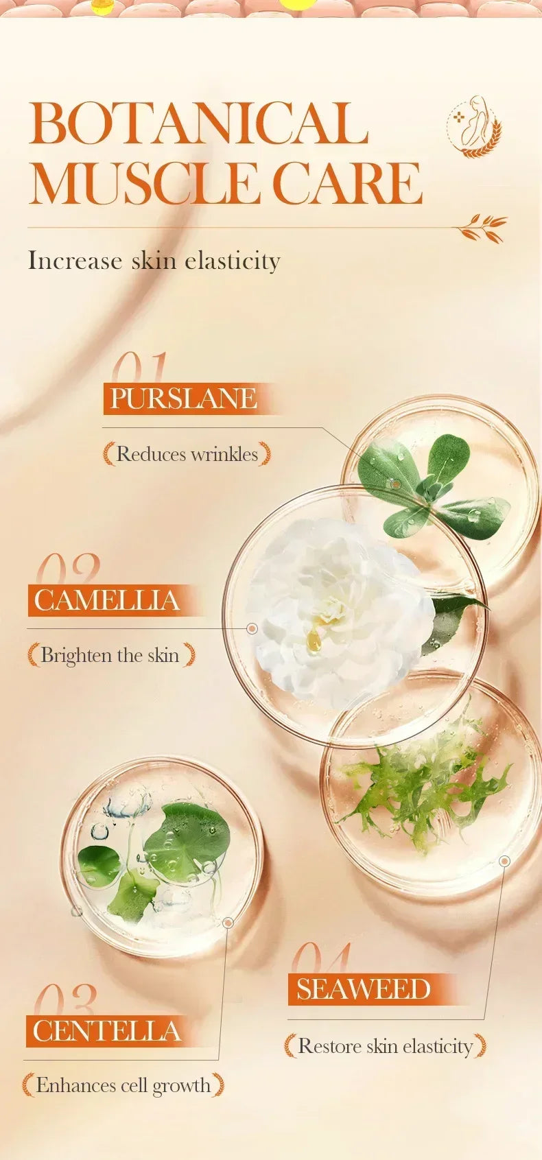 Stretch Mark Care Cream – Helps Improve Skin Texture, Firmness & Elasticity