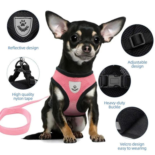 Pet Harness Vest with Lead - Bargain Tool