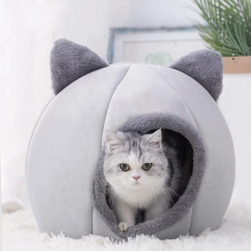 Pet Cave - Bargain Tool
