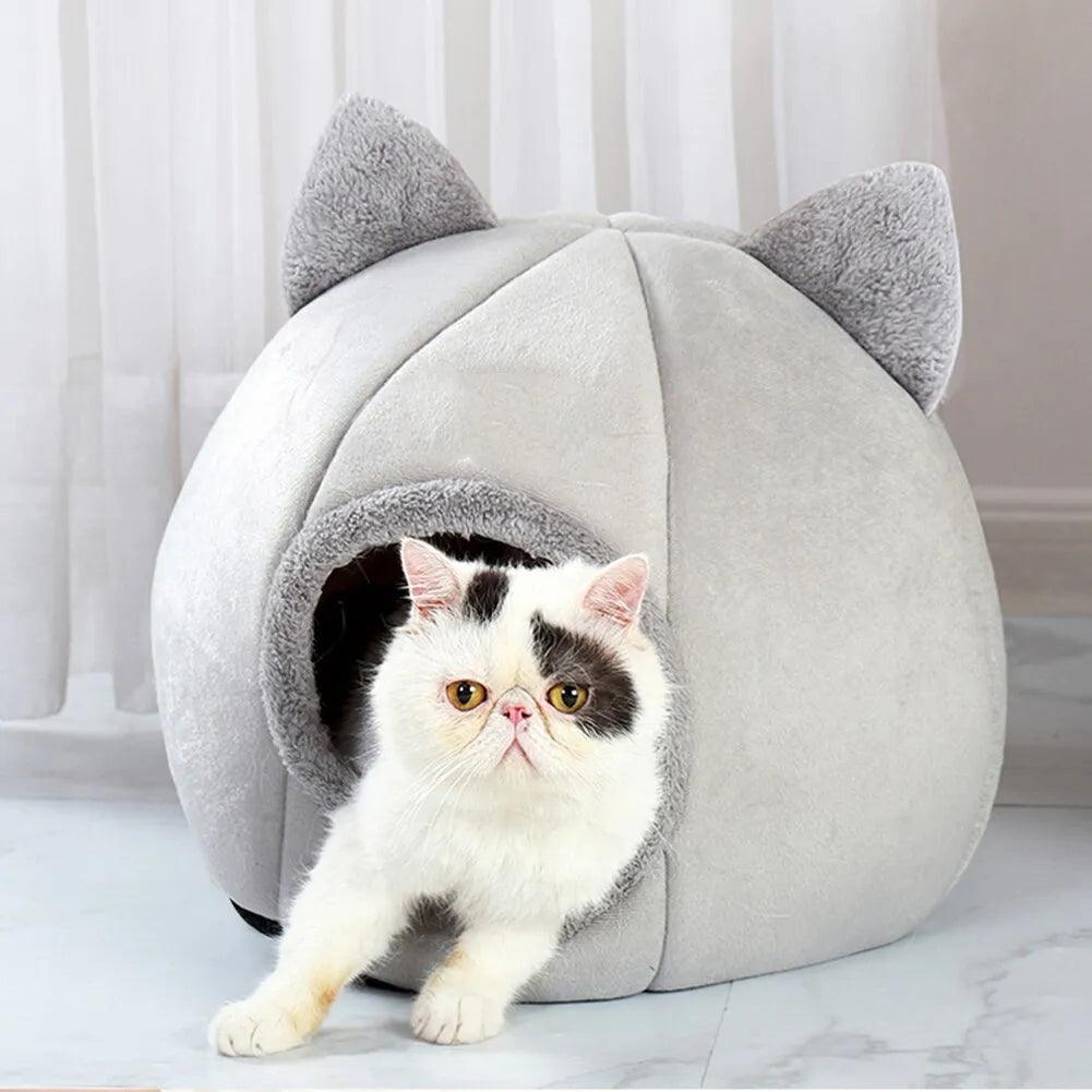 Pet Cave - Bargain Tool