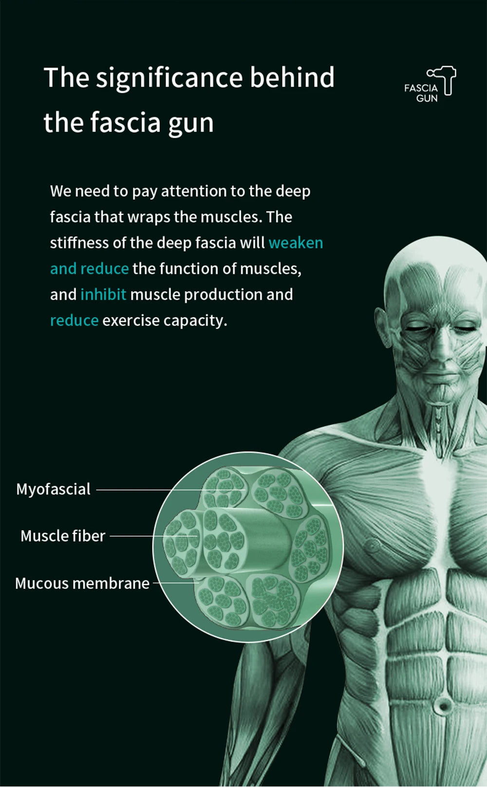 99-Speed Professional Muscle Massage Gun – Deep Tissue Percussion Massager for Neck, Back & Full Body Recovery