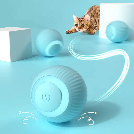 Electric Self-Rolling Ball - Bargain Tool